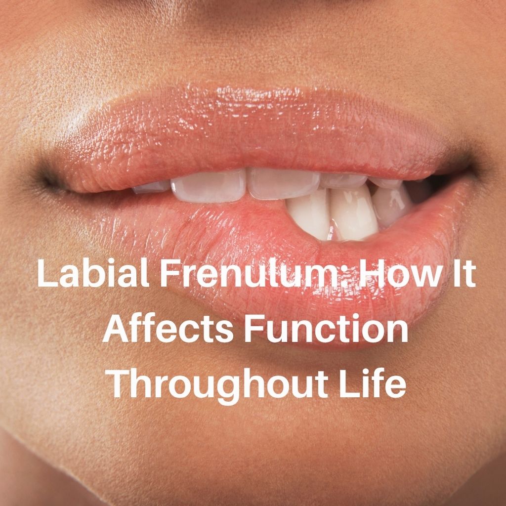 Labial Frenulum